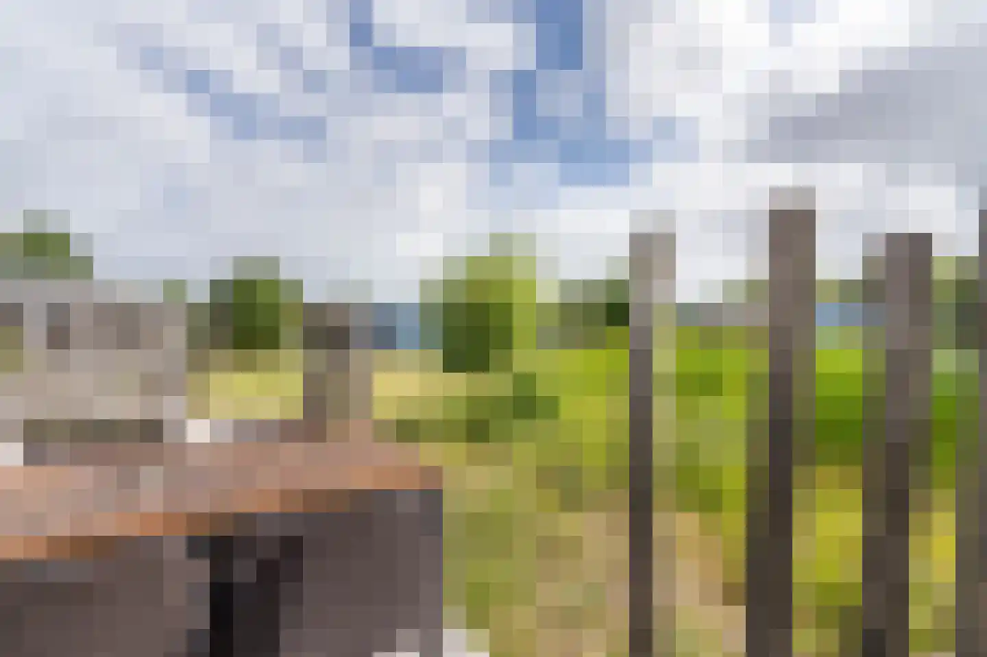 Vuurtorenpark Noord 219 Hollum thumbnail 22