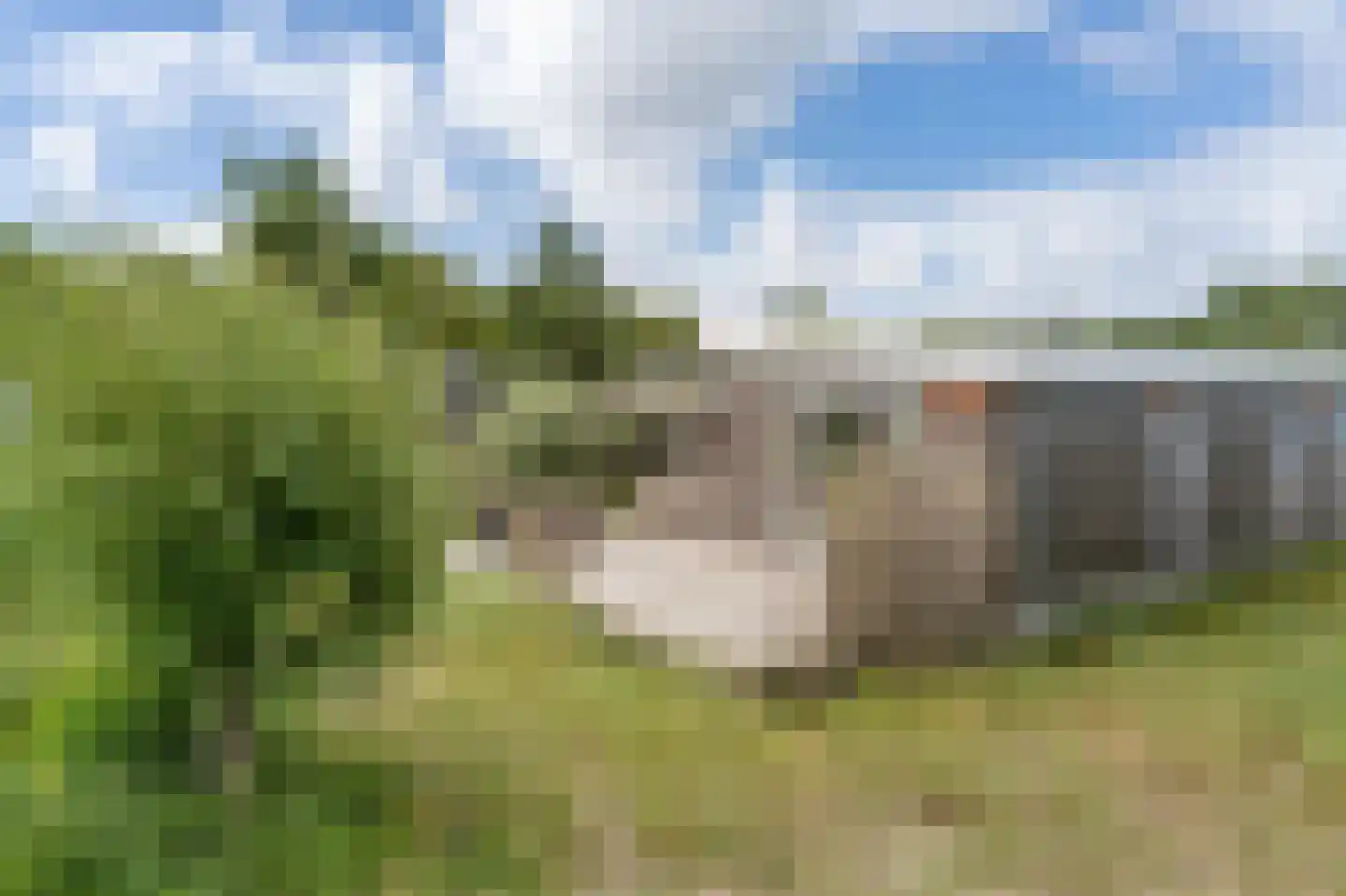 Vuurtorenpark Noord 219 Hollum thumbnail 32