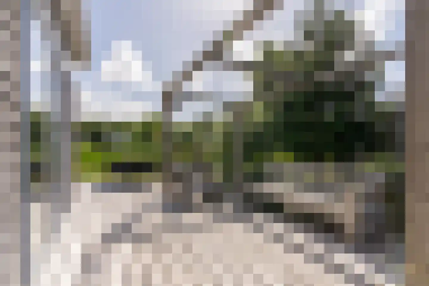 Vuurtorenpark Noord 219 Hollum thumbnail 6