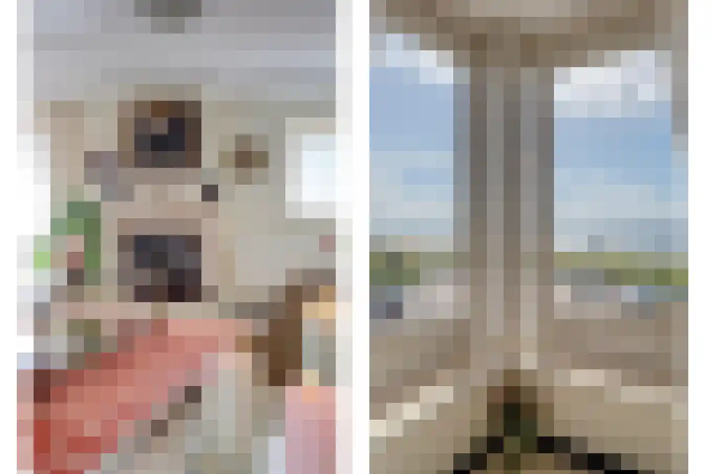 Vuurtorenplein 21 Egmond aan Zee thumbnail 12