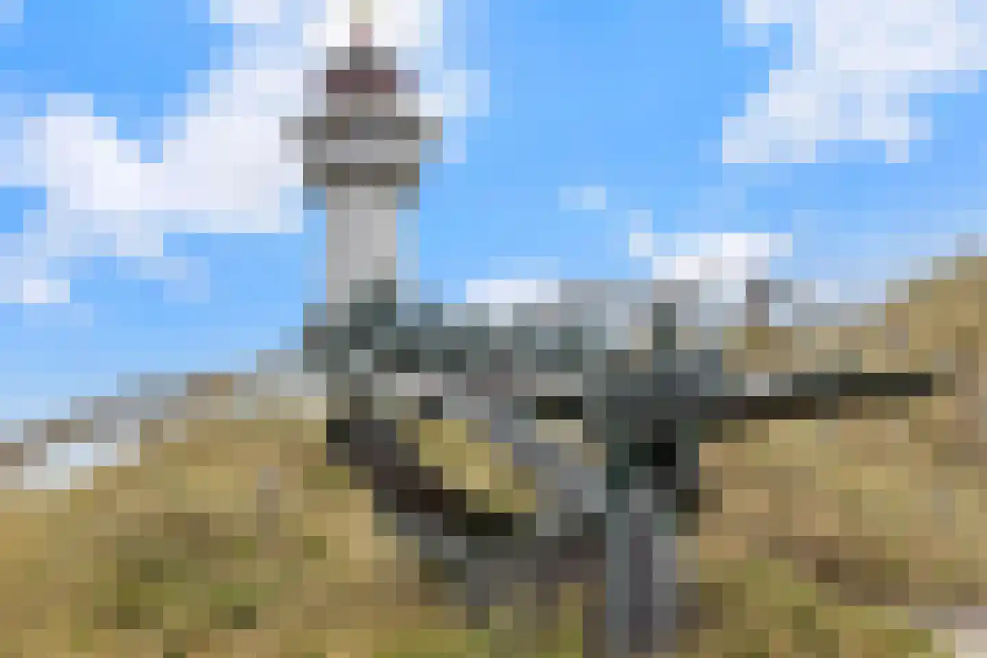 Vuurtorenplein 23 Egmond aan Zee thumbnail 30
