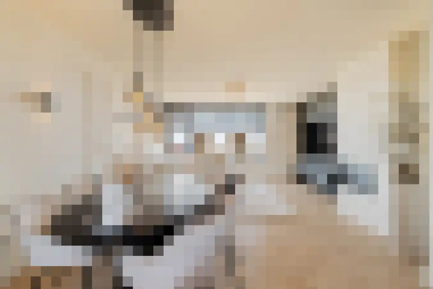 Vuurtorenplein 8 A Noordwijk thumbnail 10