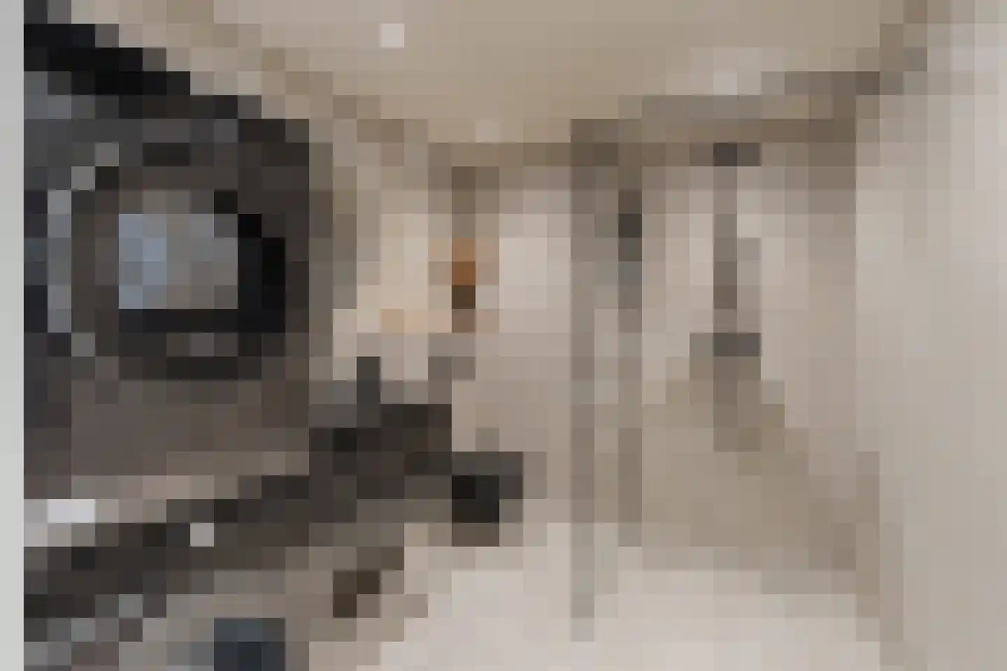 Vuurtorenplein 8 A Noordwijk thumbnail 19