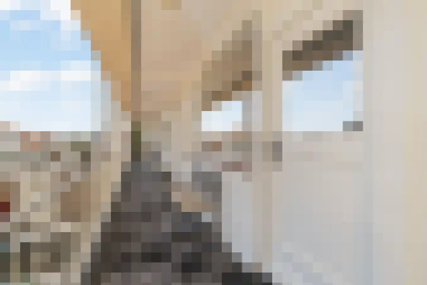 Vuurtorenplein 8 A Noordwijk thumbnail 23
