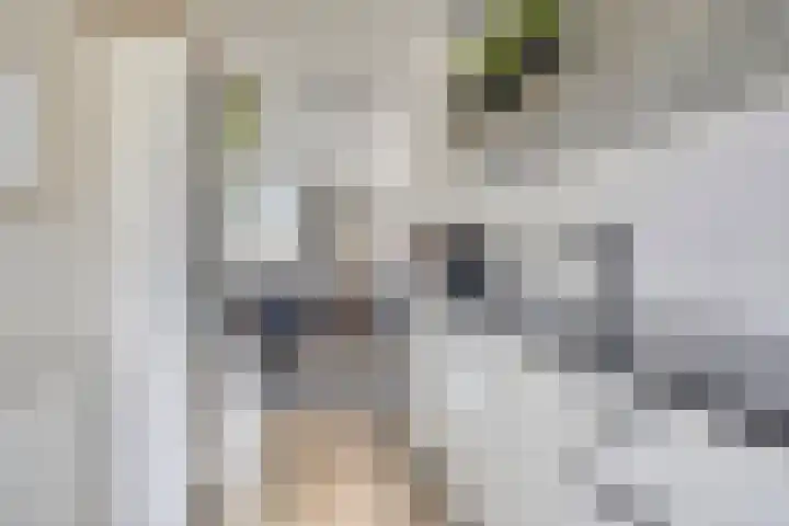 Vuurvlinder 10 Apeldoorn thumbnail 10