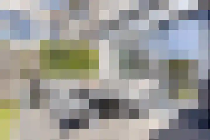 Vuurvlinder 10 Apeldoorn thumbnail 13