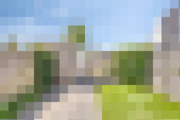 Vuurvlinder 10 Apeldoorn thumbnail 14