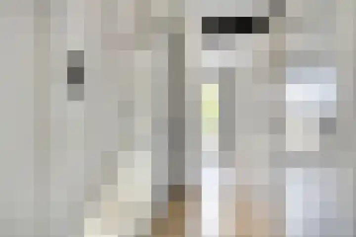 Vuurvlinder 10 Apeldoorn thumbnail 15