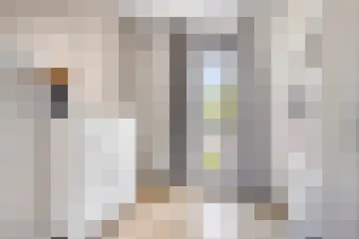 Vuurvlinder 10 Apeldoorn thumbnail 18
