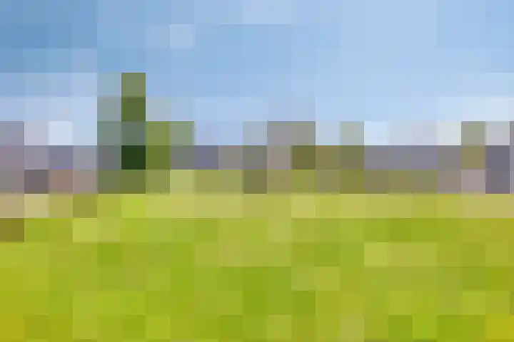 Vuurvlinder 10 Apeldoorn thumbnail 25