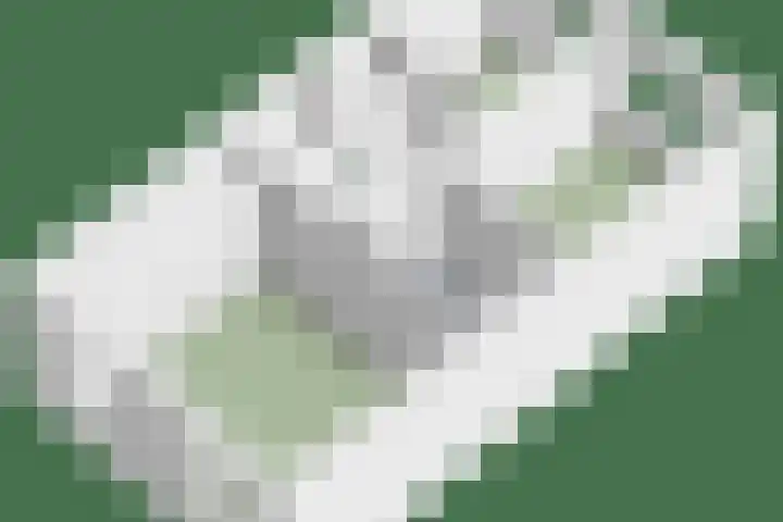 Vuurvlinder 10 Apeldoorn thumbnail 32