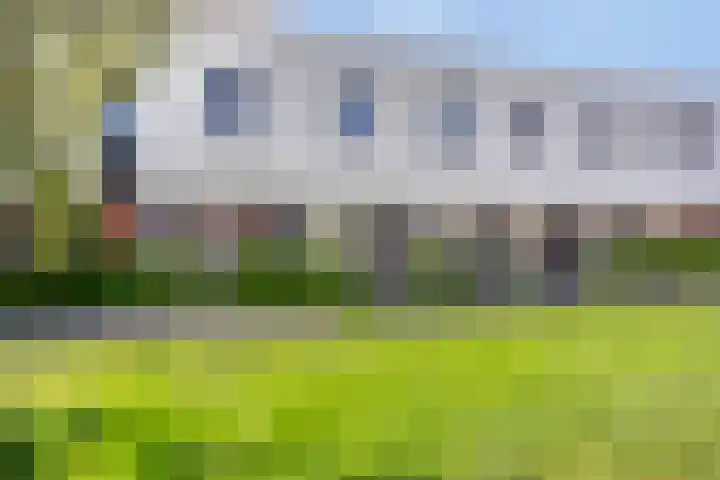 Vuurvlinder 10 Apeldoorn thumbnail 4