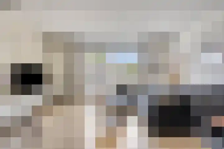 Vuurvlinder 10 Apeldoorn thumbnail 6
