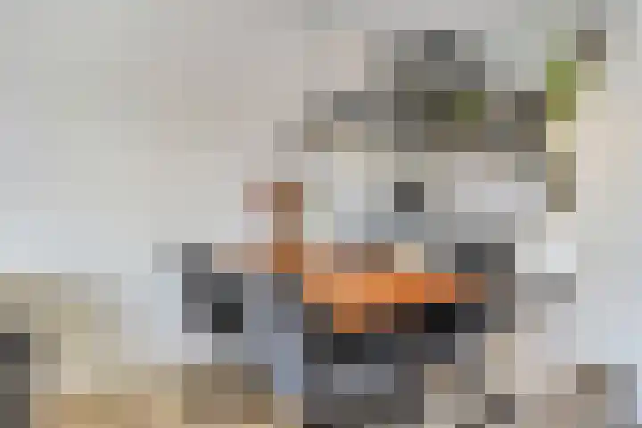 Vuurvlinder 10 Apeldoorn thumbnail 8