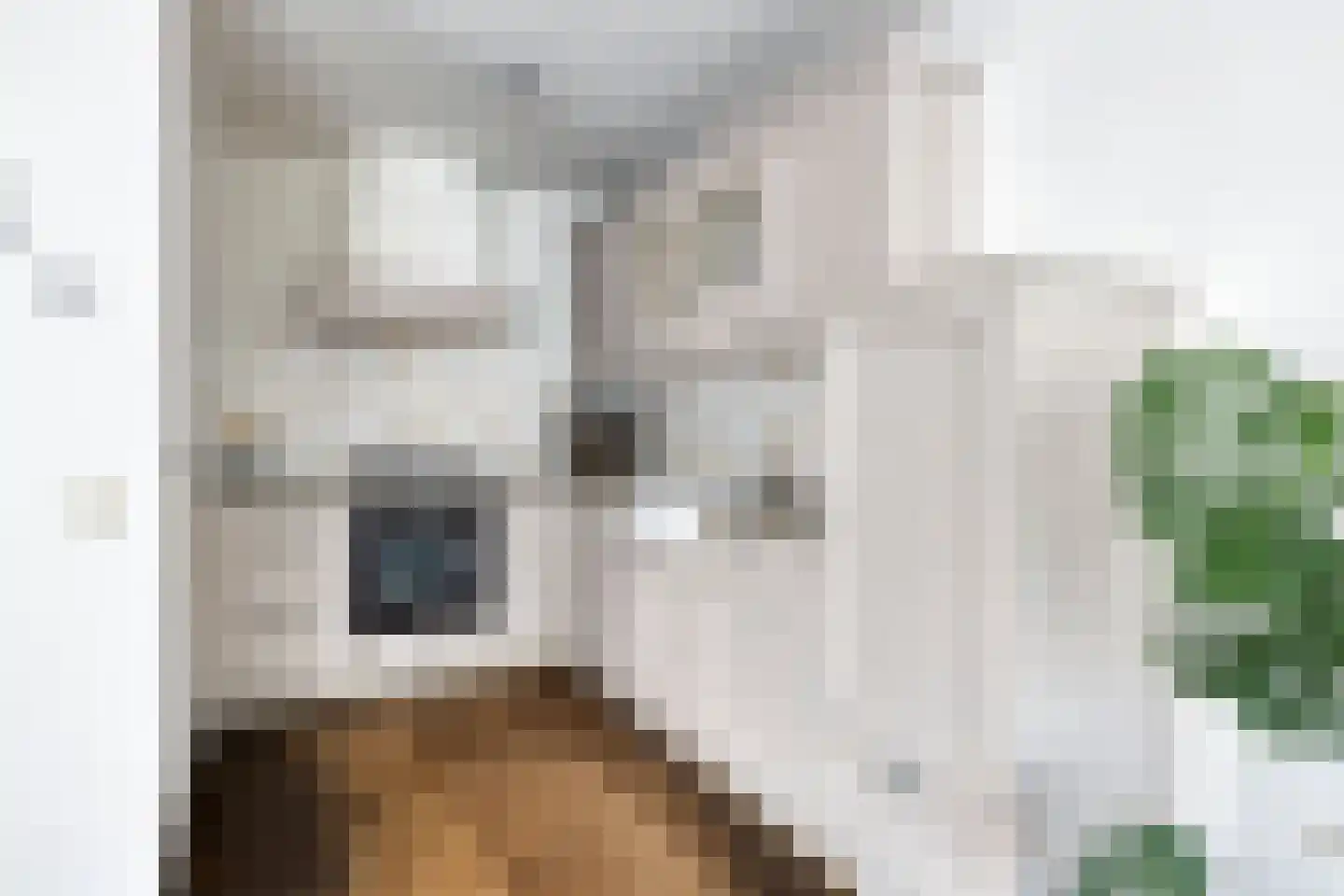 Vuurvlinder 10 Oss thumbnail 14