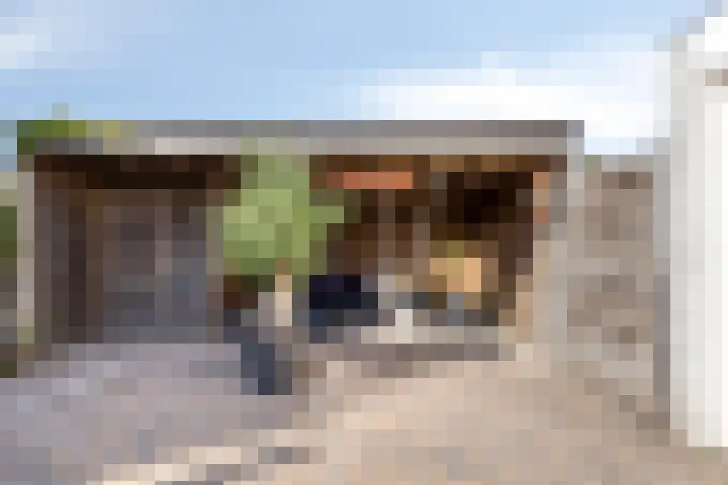 Vuurvlinder 10 Oss thumbnail 28
