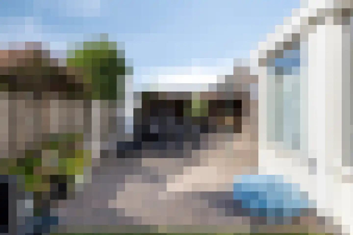 Vuurvlinder 10 Oss thumbnail 32