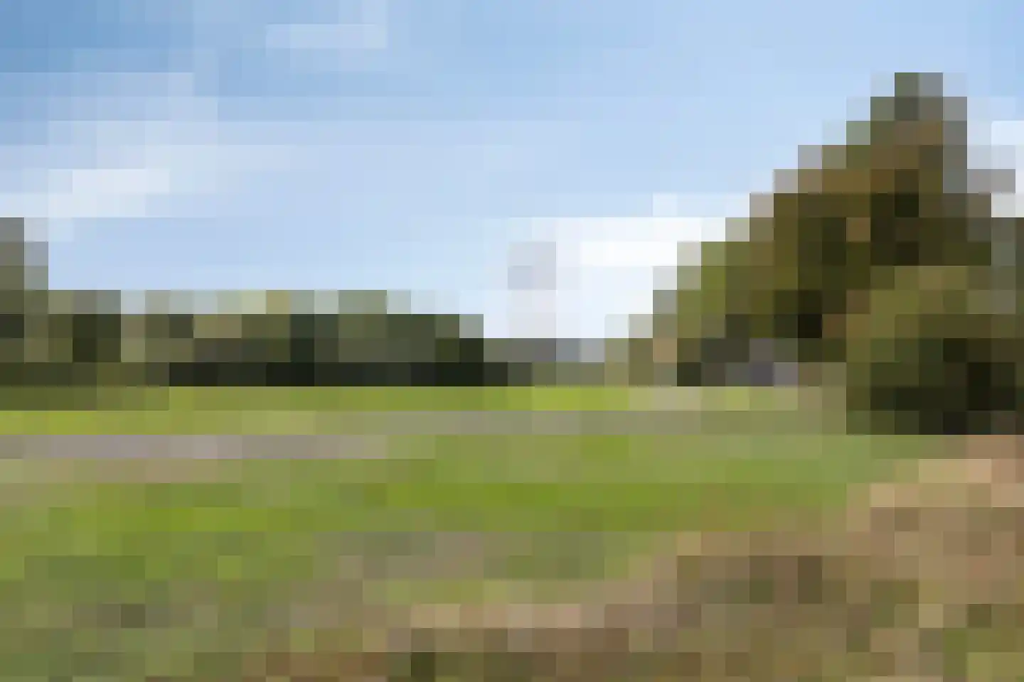 Vuurvlinder 10 Oss thumbnail 39