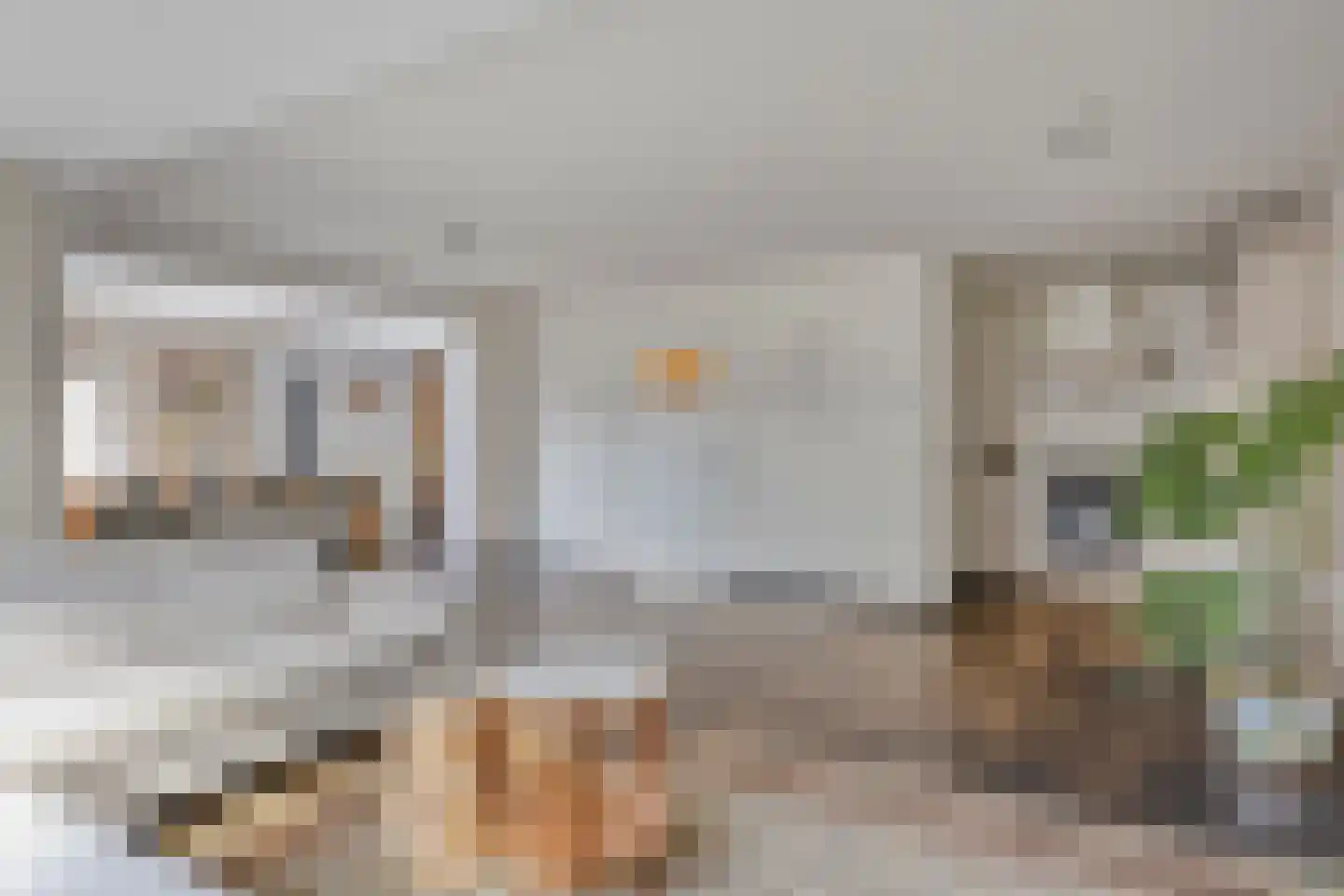 Vuurvlinder 10 Oss thumbnail 6