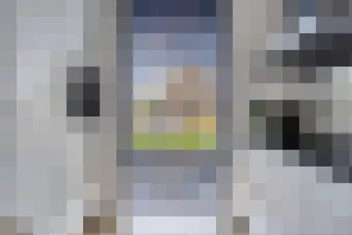 Vuurvlinder 112 Apeldoorn thumbnail 10
