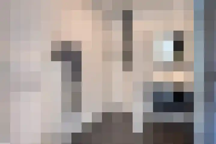 Vuurvlinder 112 Apeldoorn thumbnail 17