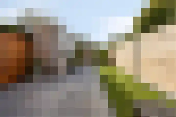 Vuurvlinder 112 Apeldoorn thumbnail 20