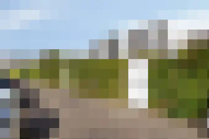 Vuurvlinder 112 Apeldoorn thumbnail 22