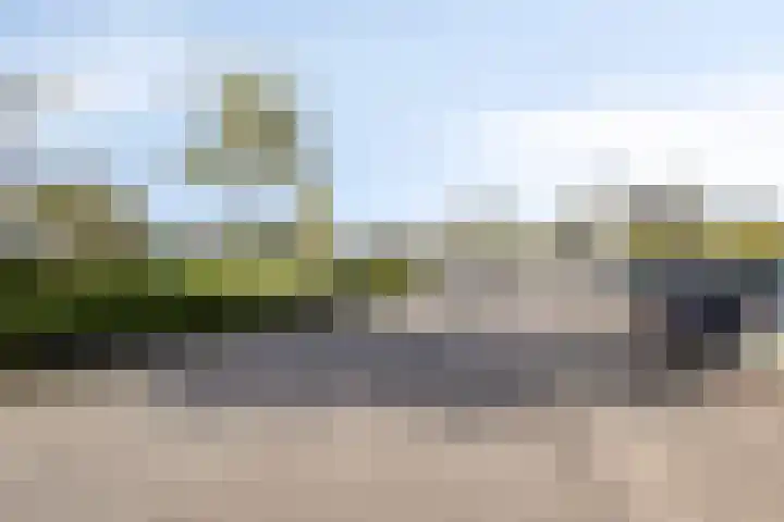 Vuurvlinder 112 Apeldoorn thumbnail 24