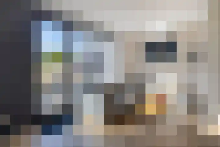 Vuurvlinder 112 Apeldoorn thumbnail 8