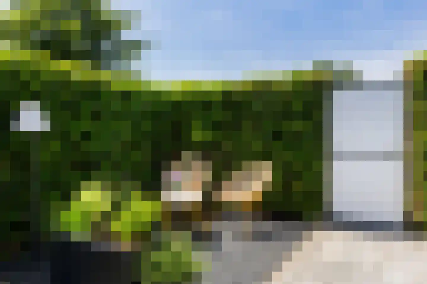 Vuurvlinder 114 Apeldoorn thumbnail 13
