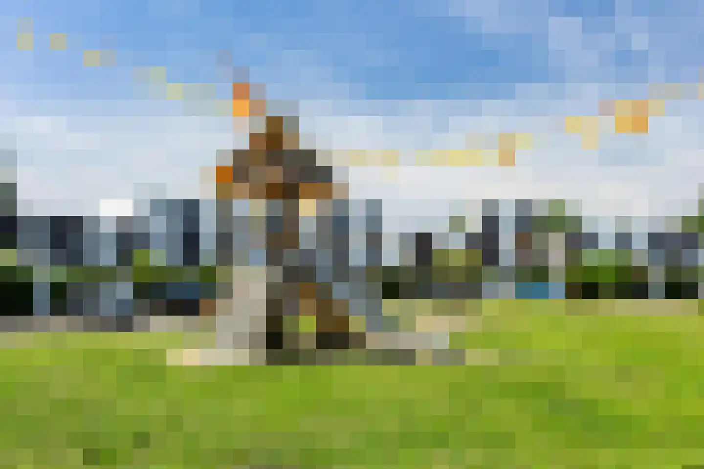 Vuurvlinder 114 Apeldoorn thumbnail 35