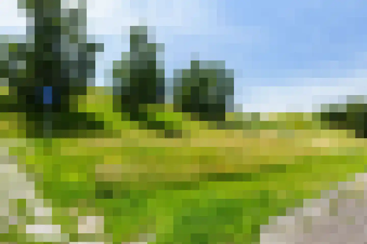 Vuurvlinder 114 Apeldoorn thumbnail 36