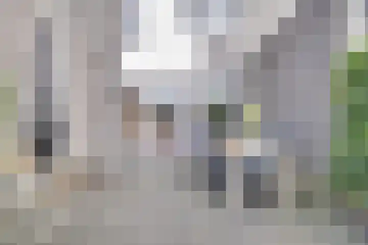Vuurvlinder 118 Apeldoorn thumbnail 27