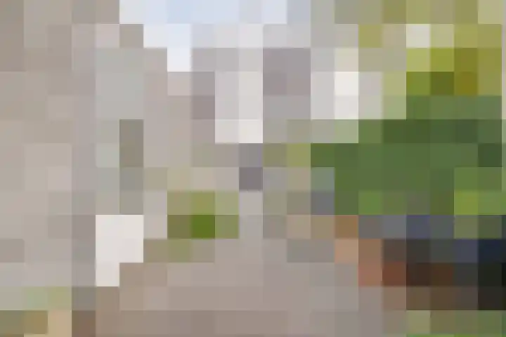 Vuurvlinder 118 Apeldoorn thumbnail 29