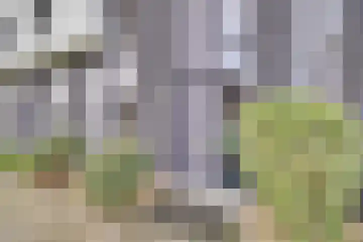 Vuurvlinder 118 Apeldoorn thumbnail 30