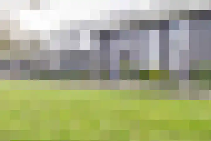 Vuurvlinder 118 Apeldoorn thumbnail 31