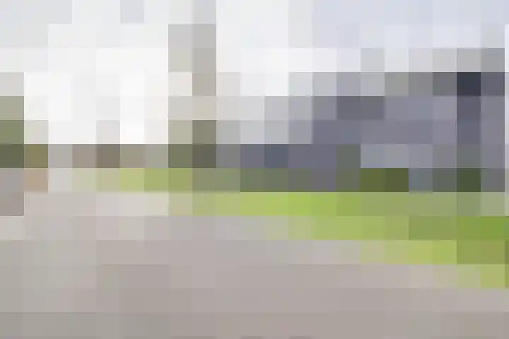 Vuurvlinder 118 Apeldoorn thumbnail 33