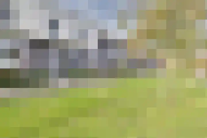 Vuurvlinder 118 Apeldoorn thumbnail 34