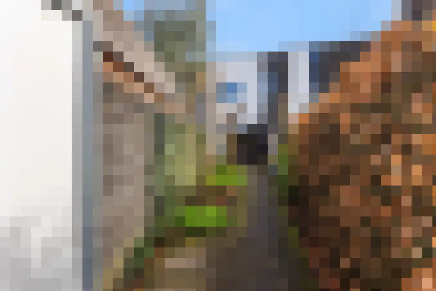 Vuurvlinder 134 Apeldoorn thumbnail 12