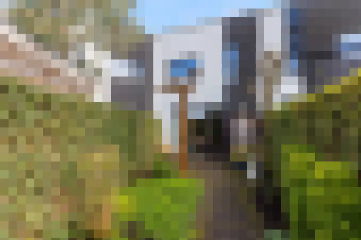 Vuurvlinder 134 Apeldoorn thumbnail 13