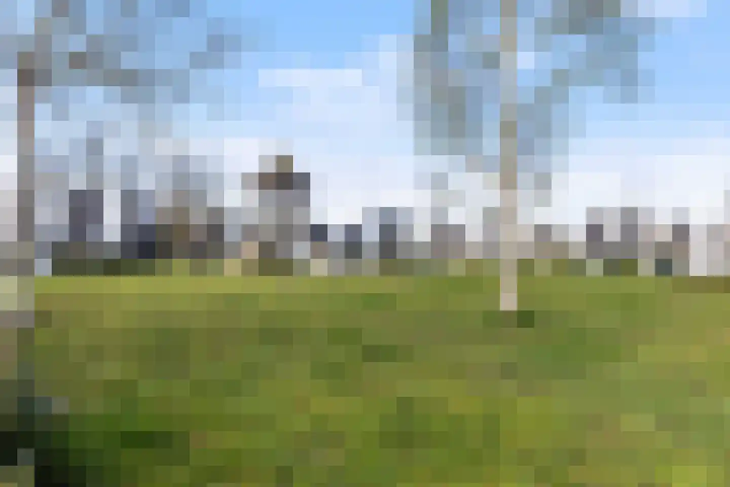 Vuurvlinder 134 Apeldoorn thumbnail 30