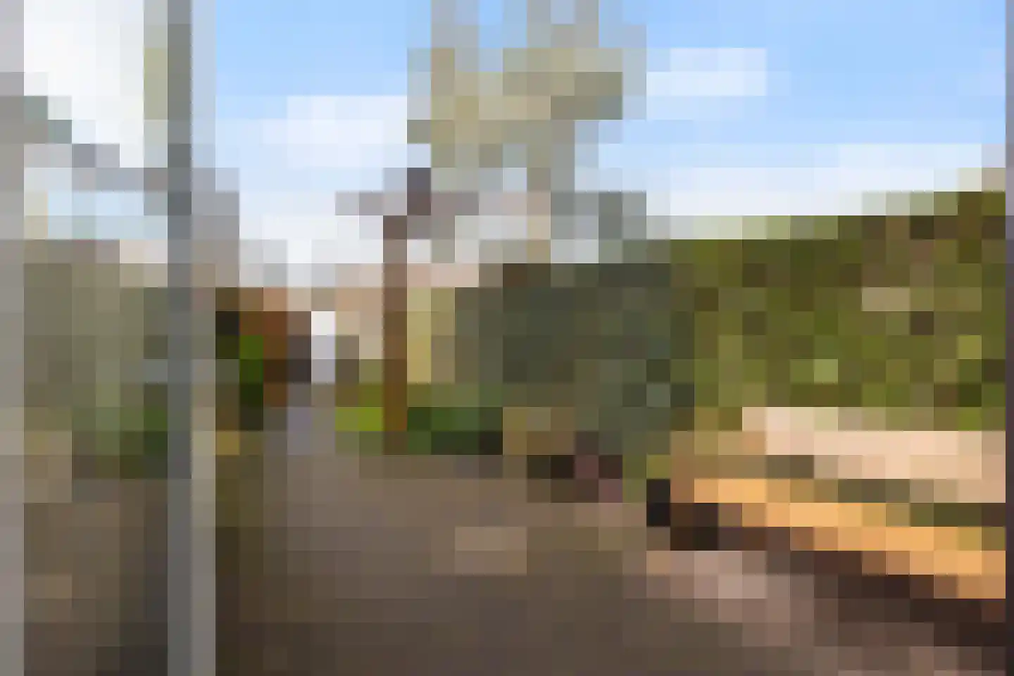 Vuurvlinder 134 Apeldoorn thumbnail 9