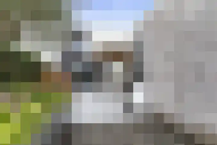Vuurvlinder 146 Apeldoorn thumbnail 17