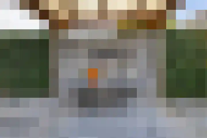 Vuurvlinder 146 Apeldoorn thumbnail 19