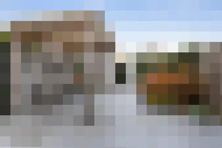 Vuurvlinder 146 Apeldoorn thumbnail 20