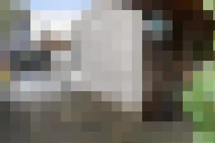 Vuurvlinder 146 Apeldoorn thumbnail 21