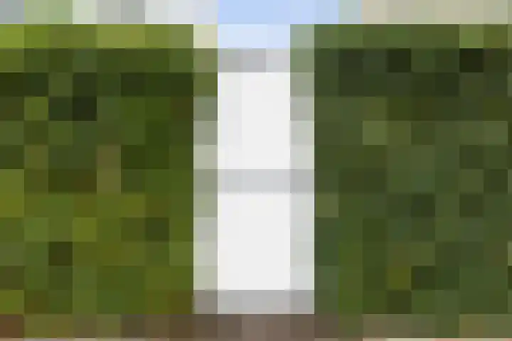 Vuurvlinder 146 Apeldoorn thumbnail 36