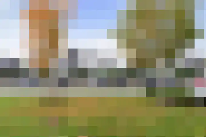 Vuurvlinder 146 Apeldoorn thumbnail 37