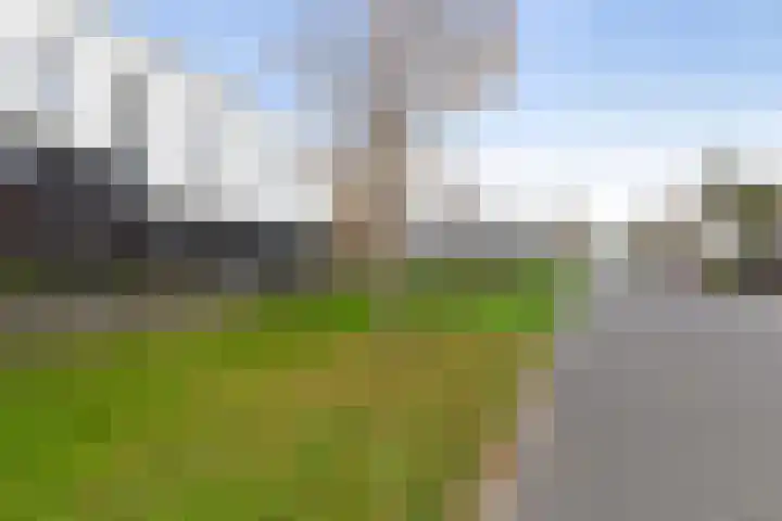Vuurvlinder 146 Apeldoorn thumbnail 38