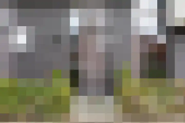 Vuurvlinder 146 Apeldoorn thumbnail 4